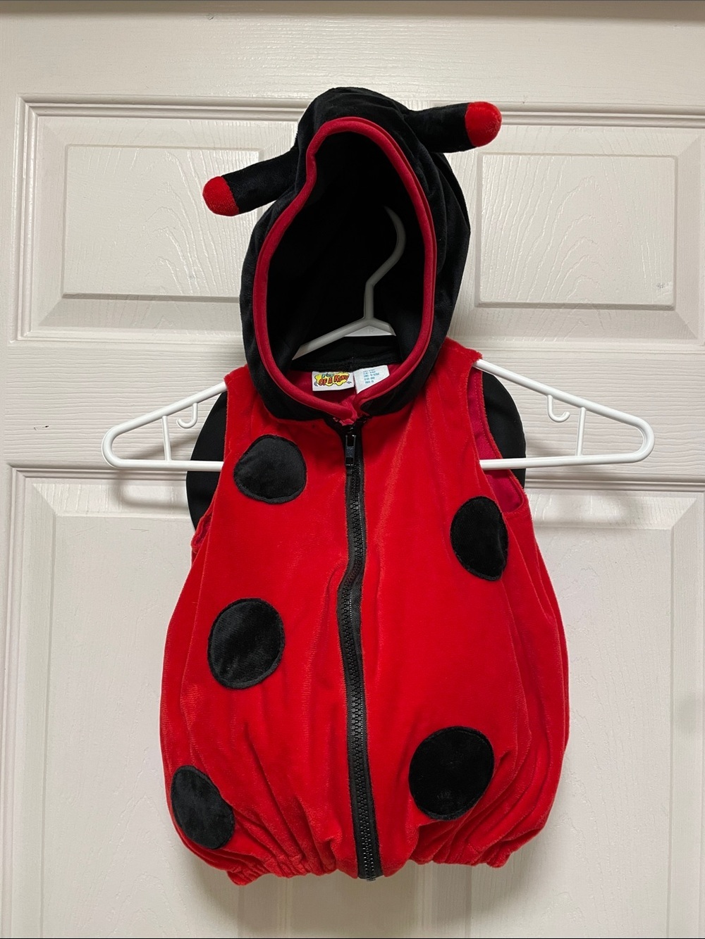 Fun of a Kind | Baby | Ladybug |
Halloween Costume | DressUp | Size 12
Months